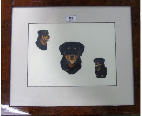 A Watercolour Portrait of a Rottweiler; signed T Brook 1990, 21 x 29 cm.