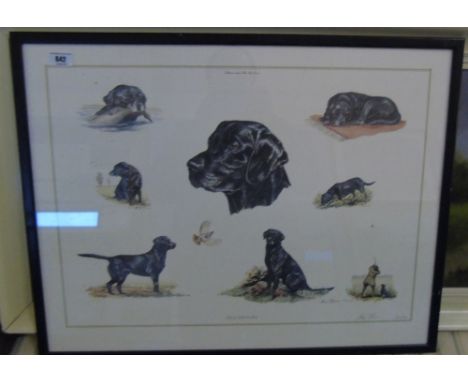 A Coloured Print - Collage of Rottweiler Dogs.