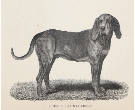 Couteulx de Canteleu,(J.E.H.)le.: Les Races de Chiens Courans Francais au XIX-e siecle. Paris, Goupy 1873. 4°. Mit Titelvign.