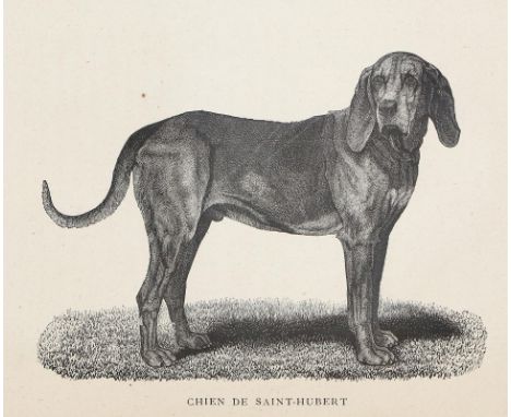 Couteulx de Canteleu,(J.E.H.)le.: Les Races de Chiens Courans Francais au XIX-e siecle. Paris, Goupy 1873. 4°. Mit Titelvign.