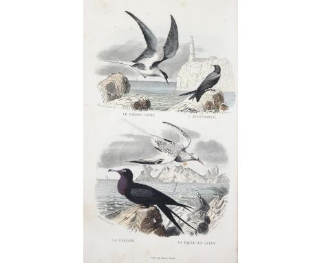 Buffon,G.L.L.de.: Oeuvres completes... 6 Bde. Paris, Furne 1841-42. Gr.8°. Mit 1 gest. Portrait, 5 gest., tls. kolor. Karten 