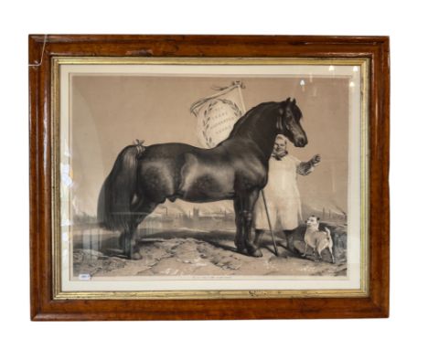 After Sir Edward Henry Landseer - 'Free Trade Warranted Sound' (1854), lithograph published by Graves &amp; Co. London, and A