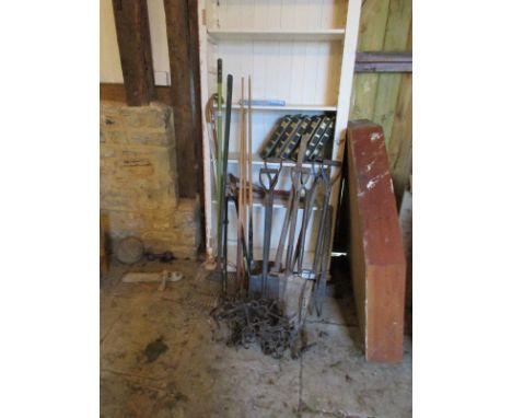 Collection of garden tools