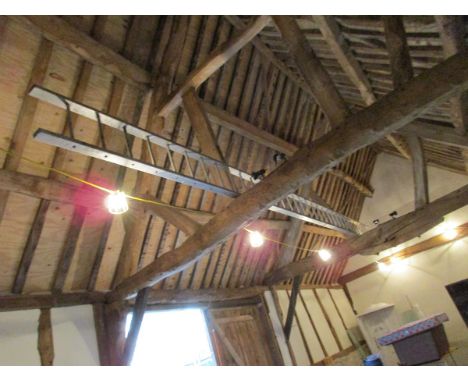 Aluminium pole ladder (33 rung)