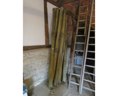 Bamboo film set props