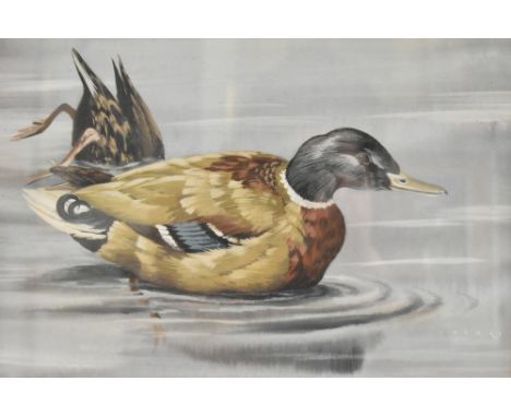 John Crank (British, 1923-2008) a pair of watercolour and gouache paintings on paper. Both pictures depicting ducks - 'Mallar