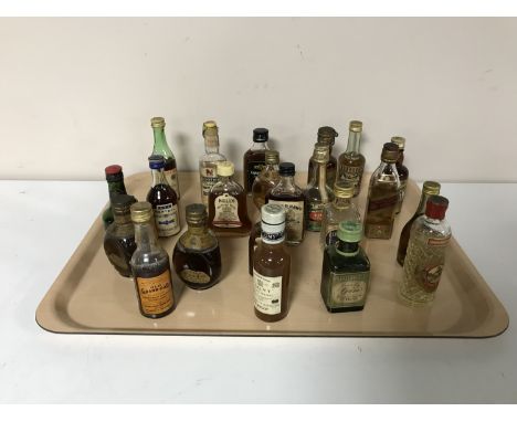 A tray of twenty two alcohol miniatures - Bells & Dimple whiskey, Captn Morgan rum, Martell cognac, etc 