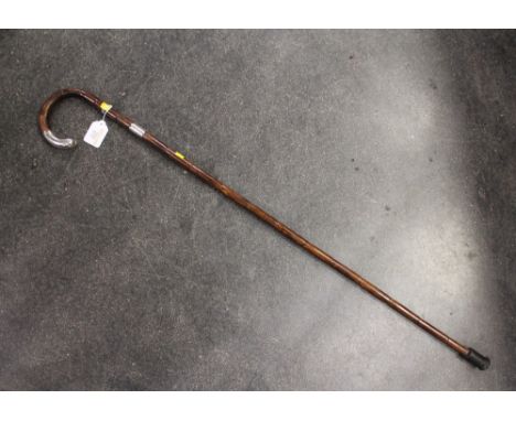 Silver mounted walking stick 