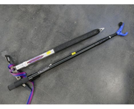 Telescopic pole and an ice axe
