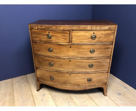 Late Regency light mahogany bow front chest of 2 short over 3 long graduated drawers, (oak lined) with oval vase handles, on 