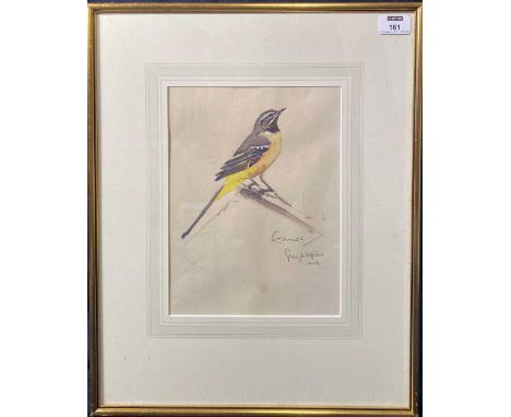 § Eric Arnold Roberts Ennion (British 1900-1981) Study of a male wagtailsigned and titled lower rightwatercolour and pencil27
