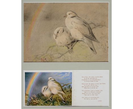 HENRY E.O. MURRAY-DIXON (BRITISH, 1885-1917)  Doves on a Branch,  pencil sketch with colour washes, unsigned, 14cm x 20cm; to