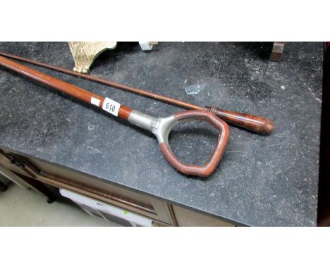 A shooting stick and one other