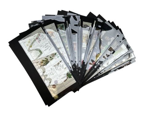Queen Elizabeth II mint decimal stamps, all first class stamps in presentation packs, face value of usable postage approximat