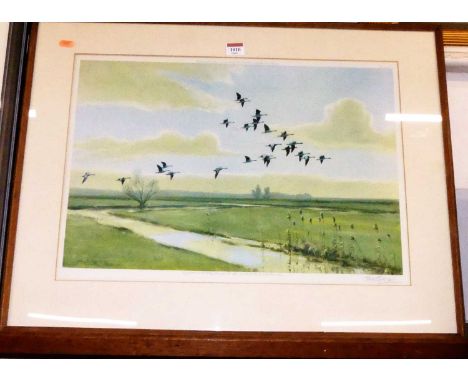 Peter Scott (1909-1989) - Ducks in flight over the marshes, lithograph, signed in pencil to the margin, 36 x 54cm