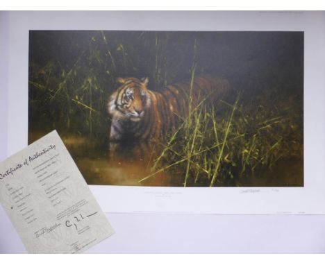 DAVID SHEPHERD LIMITED EDITION PRINT, NUMBERED 911/950 AND SIGNED IN PENCIL TO THE MOUNT 'INTO THE SUNLIGHT THERE CAME A TIGE