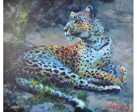 ROLF HARRIS; signed limited edition print, 'Leopard Reclining at Dusk', no.3/75, signed lower right, 63 x 76.2cm, framed. (D)
