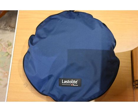 Lastolite rayD8 studio light and Lastolite back drop