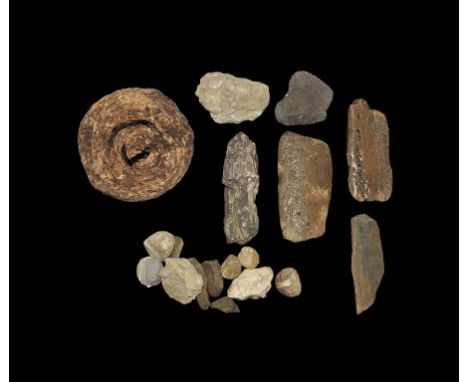 Mainly Cretaceous period, 140-70 million years BP. A mixed group of fossil items comprising: seven pieces of fossilised whale