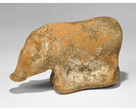 4th century BC. A hollow-cast terracotta pig figurine with lowered head. 391 grams, 15cm (6"). From an old British private co