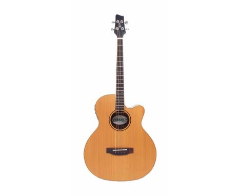 Ozark model 3372C electro-acoustic tenor guitar, soft case