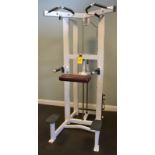 LIFE FITNESS ASSISTED DIP / CHIN PULLUP