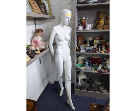 A mannequin in female form standing on a glass base 182cm High together with a contemporary display torso on composition stan