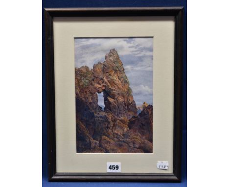 after William Toplis - 'A Monarch of the Shore (Grand Greve)' - print from The Book of Sark 