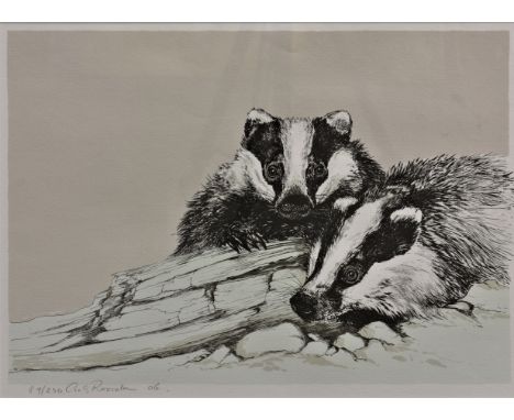 Cees Roorda (Dutch, b.1942) - limited edition coloured print of two badgers signed and numbered 89/250, dated 06, 12 x 17¼in.