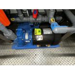 (1) WEG 5036ES3E56C-S Pump 208-230/460 V 60HZ 3PH1/2HP 3600 RPM w/ Finish Thompson DB6HP-M227 Pump