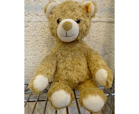 Steiff teddy bear with assosciated button in ear