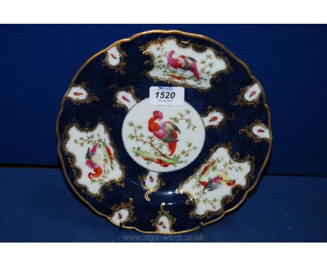 A Dr. Wall period Worcester polychrome Plate decorated with exotic Birds and Insects against a Cobalt Blue fish scale backgro