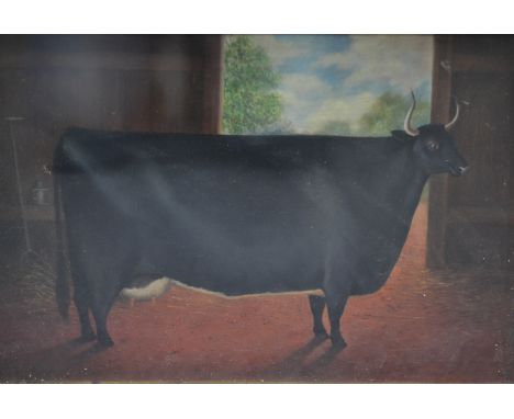 ENGLISH PRIMITIVE SCHOOL - Portrait of a prize bull in a barn, oil on canvas, framed, 24cm x 35cm