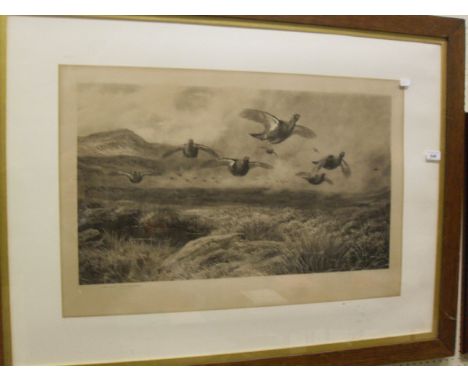 AFTER ARCHIBALD THORBURN "Grouse in Flight", monochrome print, signed in pencil bottom left  CONDITION REPORTS Has discoloura