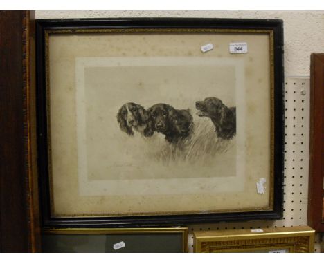 AFTER MAUD EARL "A Head Study of Three Spaniels", monochrome print, together with AFTER A COOPER "Setter and Grouse", coloure