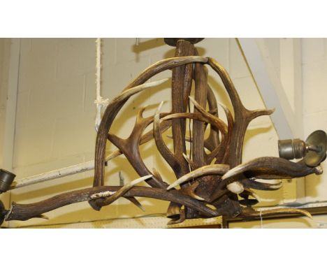 A red deer antler chandelier of three branch form