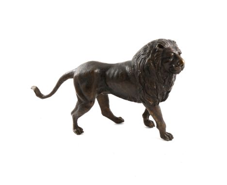 A bronze model of a standing lion, 42cm long, 25cm high.