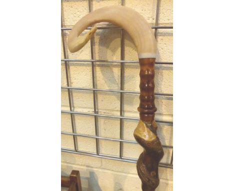 Large rams horn walking stick, L: 108 cm 