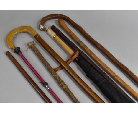 A Collection Various Walking Sticks, Swagger Stick, Parasol, Riding Whips etc 