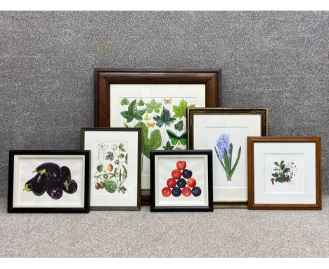 A collection of six botanical artworks to include two signed 1990's watercolours depicting stacks of fruit and vegetables res