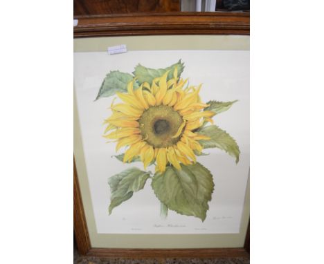 ELIZABETH CAMERON, LTD ED PRINT, SUNFLOWER, SIGNED IN PENCIL, FRAMED, 76CM HIGH