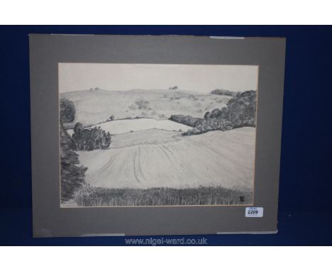 A Pencil Sketch labelled verso ''Barley'' by Rhoda Partridge, monogrammed lower right R.