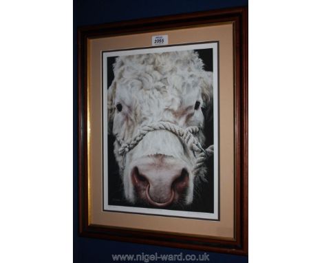 A limited edition print 'Ringmaster' by Angelo Davidson, no 163/395.
