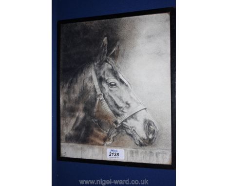 A 1930's Pencil portrait of 1935 Derby Winner, Bahram, in original frame with inscription to the rear