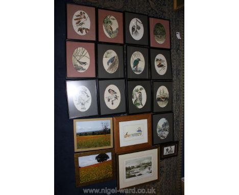 Thirteen framed Prints of various birds by John Barlow including Gold Crest, Tree creeper, Coal tit, etc, a Photograph of a w