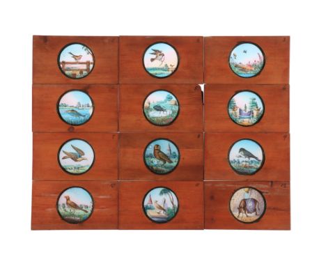 12 Lantern Slides of Cock Robin, ‘cock robin’ complete set of 12 hand painted magic lantern slides. measuring 7” x 4”.