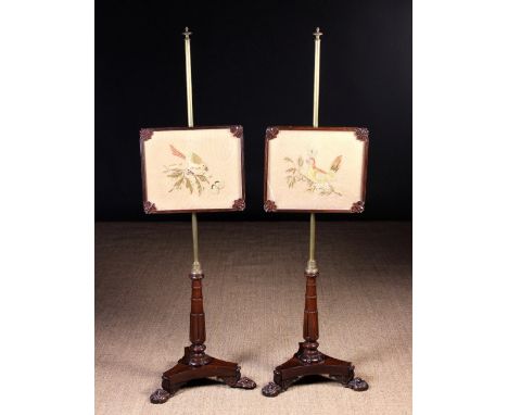 A Pair of William IV Pole-screens.  Each screen having a glazed rectangular needlework panel depicting a bird perched on spra