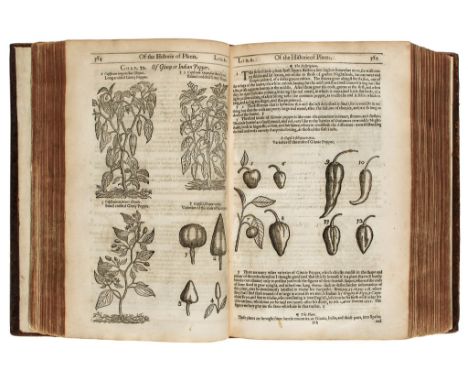 Gerard (John) - The Herball or Generall Historie of Plantes, edited by Thomas Johnson,   third edition, lacking both initial 