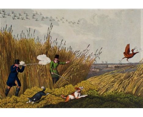 After H. Alken hunting print, "Bittern Shooting", published 1820 by McLean London, housed in a glazed gilt and ebonised frame