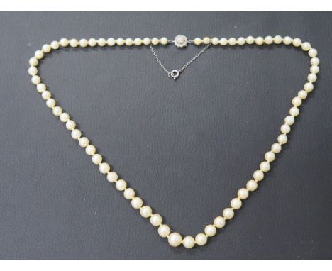 A Mikimoto single string graduated pearl necklace with round 18k white gold clasp set central with opal surrounded with diamo